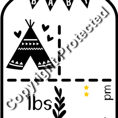 mason jar baby teepee no boxes pm Thumbnail