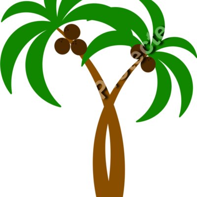 palm trees1  2  Thumbnail