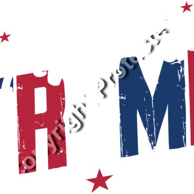 trump 2024 dont blame me i voted for trump red white blue star design svg Thumbnail