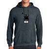 Heavy Blend Hooded Sweatshirt Thumbnail