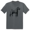 The Concert Tee ® Thumbnail