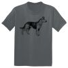 The Concert Tee ® Thumbnail