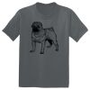 The Concert Tee ® Thumbnail