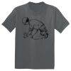 The Concert Tee ® Thumbnail