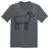 The Concert Tee ® Thumbnail