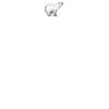 DTF Print Thumbnail