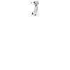 DTF Print Thumbnail
