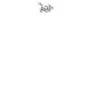 DTF Print Thumbnail