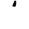 DTF Print Thumbnail