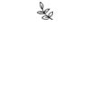 DTF Print Thumbnail