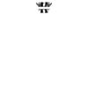 DTF Print Thumbnail