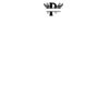 DTF Print Thumbnail