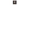 DTF Print Thumbnail