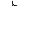 DTF Print Thumbnail
