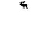 DTF Print Thumbnail