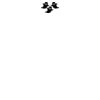 DTF Print Thumbnail