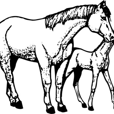 HORSE039 Thumbnail