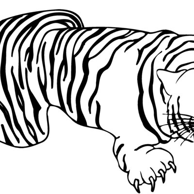 CAT09 Thumbnail