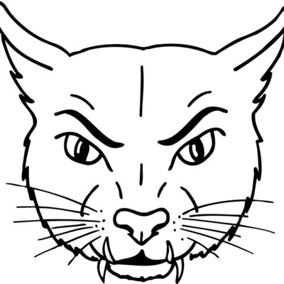 CAT19 Thumbnail