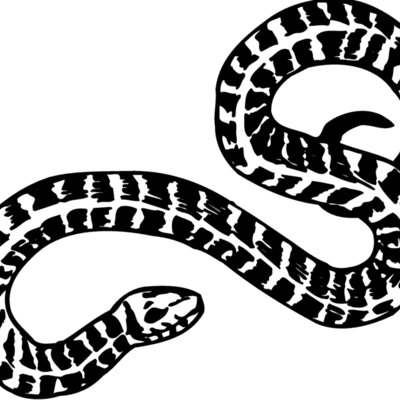 SNAKE009 Thumbnail
