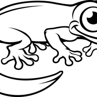 Newt   Clipart 3 Thumbnail