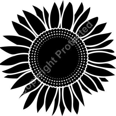 sunflower A black Thumbnail