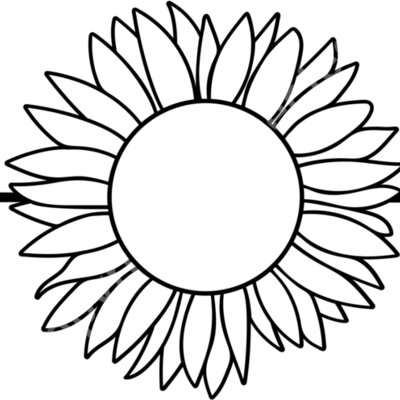 sunflower arrow 1 Thumbnail