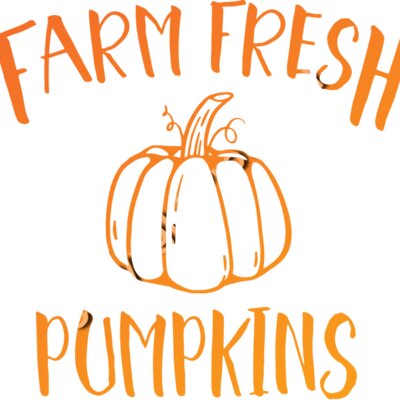 fresh pumpkins 2 02 Thumbnail