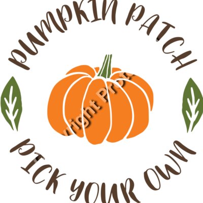 pumpkin patch 3 01 Thumbnail