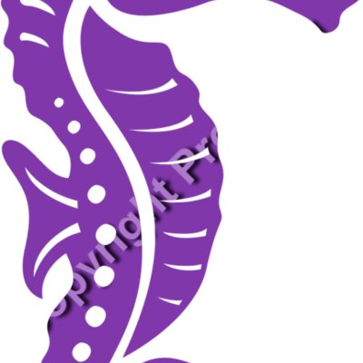 Seahorse 01 Thumbnail