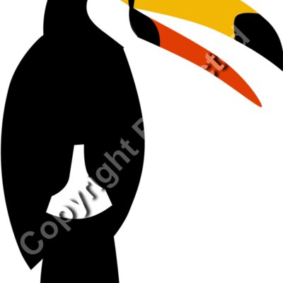 toucan bird Thumbnail
