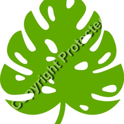 trop leaves  1  Thumbnail