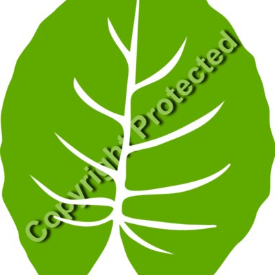 trop leaves  6  Thumbnail