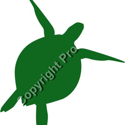 turtle Thumbnail