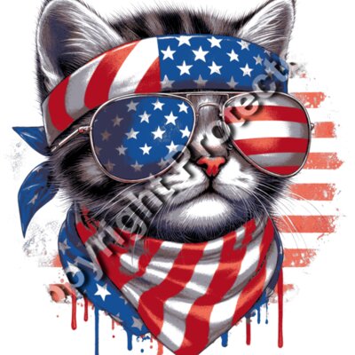 cat lady kamala harris 2024 election american flag cat artwork Thumbnail