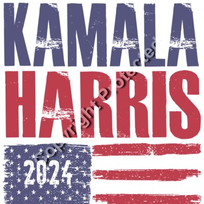 Kamala Harris 2024 campaign graphic with bold text and American flag elements  Thumbnail