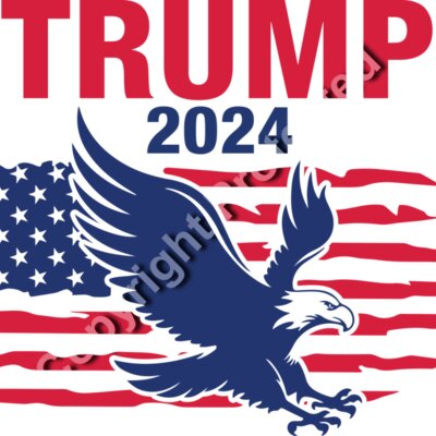 Trump 2024 election eagle graphic with American flag background Thumbnail