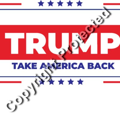 trump take america back 2024 election campaign graphic Thumbnail