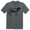 The Concert Tee ® Thumbnail