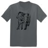 The Concert Tee ® Thumbnail