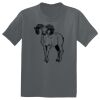The Concert Tee ® Thumbnail