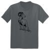 The Concert Tee ® Thumbnail