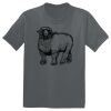 The Concert Tee ® Thumbnail