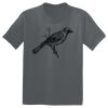 The Concert Tee ® Thumbnail