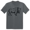 The Concert Tee ® Thumbnail