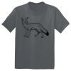 The Concert Tee ® Thumbnail