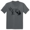 The Concert Tee ® Thumbnail