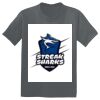 The Concert Tee ® Thumbnail