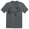 The Concert Tee ® Thumbnail
