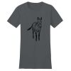 Women's Fitted The Concert Tee ® Thumbnail
